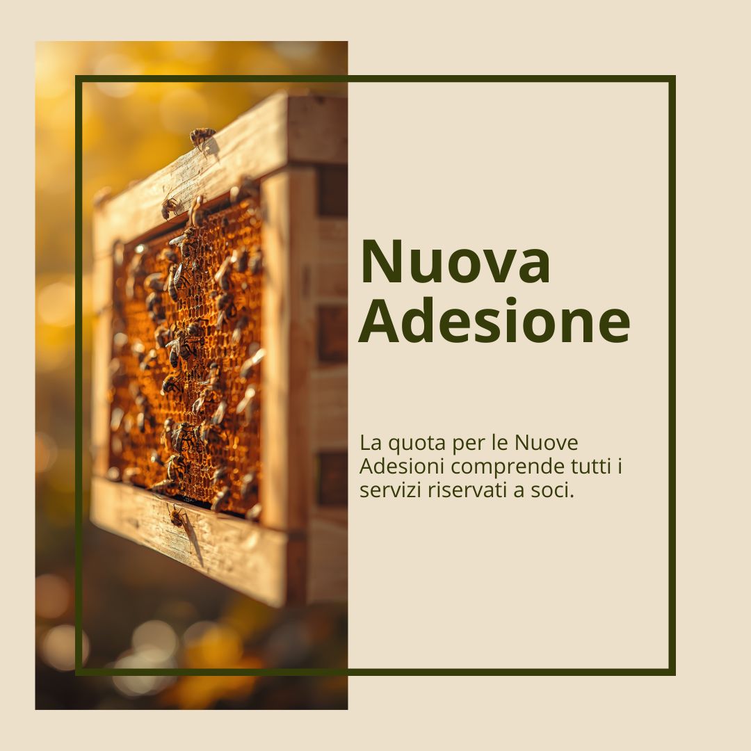 Nuova Adesione