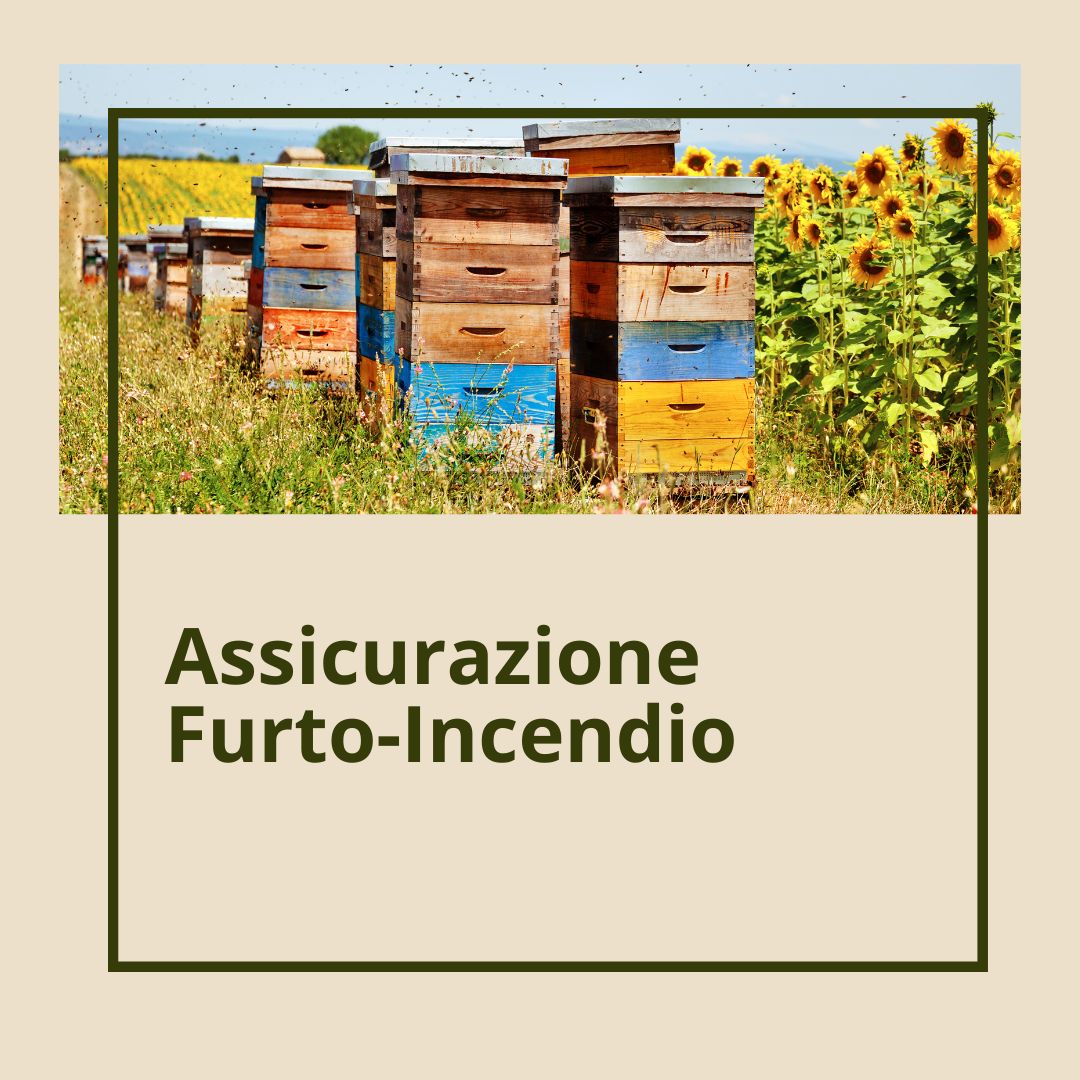 Assicurazione furto-incendio