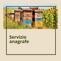 Servizio Anagrafe €30