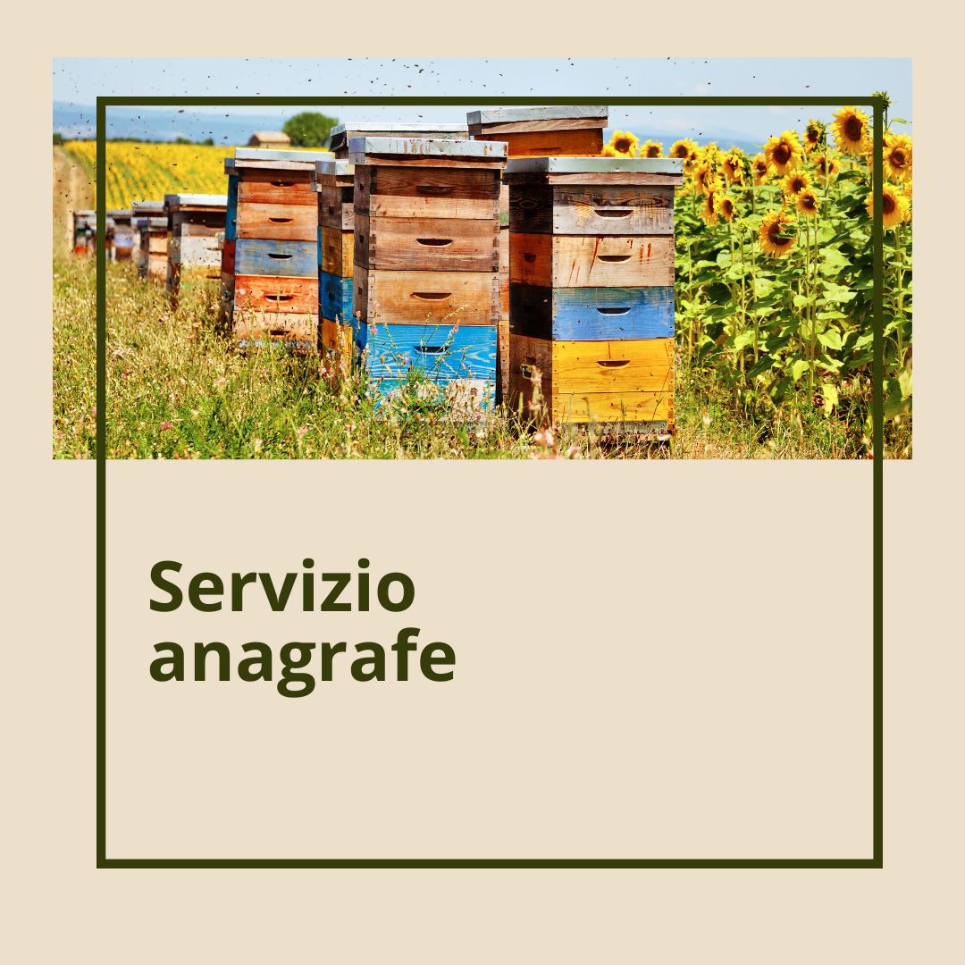 Servizio Anagrafe €30